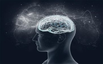 环保意识调查报告6篇