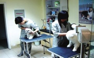 在医院工作的个人总结优质7篇