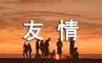 校园篮球友谊赛活动方案5篇