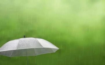 雨来读后感100字优质6篇