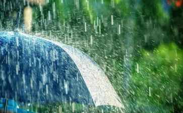 雨点儿教案教案5篇