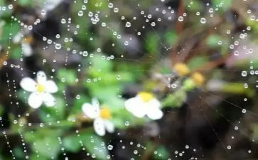 军训时下雨心得体会8篇