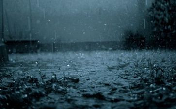 《雨来》读后感精选6篇