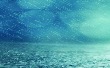 雨的优秀作文参考7篇