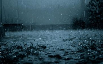 《雨来》读后感优质7篇