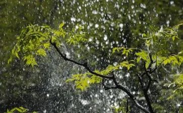 2024年暴雨作文优秀7篇