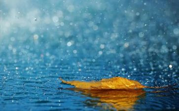 幼儿园小班下雨了教案7篇