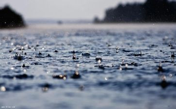 雨中的歌教案模板7篇