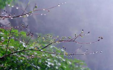 雨来读后感100字推荐8篇
