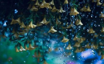 雨来的英雄故事读后感7篇