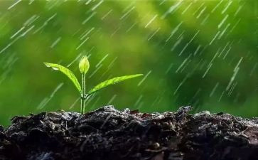 幼儿园关于雨的教案最新8篇