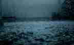 《雨来》读后感精选6篇