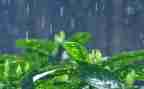 大班关于雨的教案精选6篇