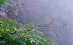 雨来读后感100字推荐8篇