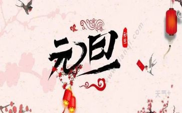 元旦节活动方案策划优秀5篇