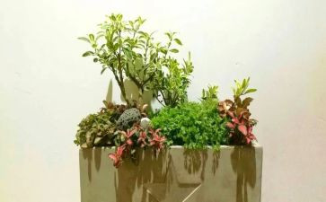 校园艺术节演讲稿参考7篇