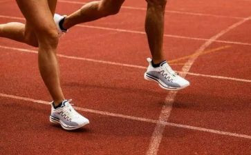 校园运动会活动总结5篇