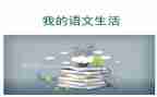 语文活动总结最新6篇