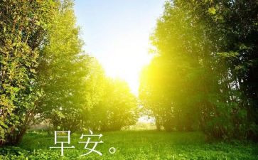 早教老师周工作总结5篇