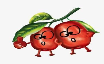 我爱红枣作文7篇