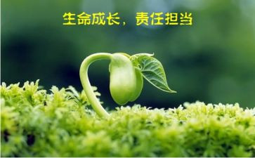 幼师爱与责任演讲稿6篇
