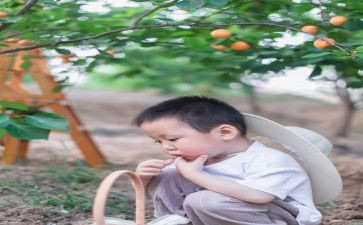 摘果子教案反思5篇
