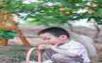 摘果子教案反思5篇