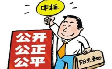 招标代理月工作总结6篇