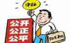 代理招标工作总结7篇