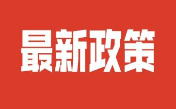 双减政策的心得最新7篇