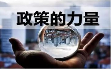 双减政策的心得5篇