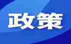 送政策工作总结8篇