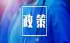 双减政策下教师总结6篇