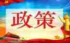 双减政策的心得通用6篇