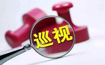党支部整改报告5篇