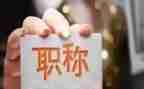 正高级工程师职称个人总结5篇