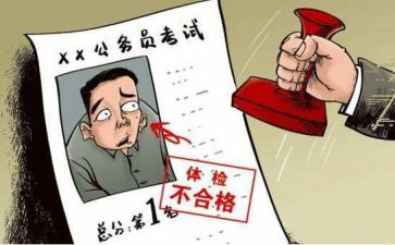 政审员工作总结最新6篇