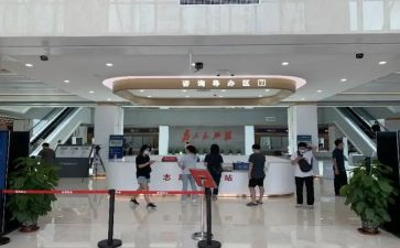 政务类工作总结7篇
