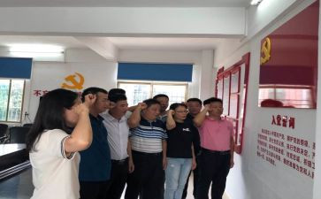 政务公开半年总结精选8篇