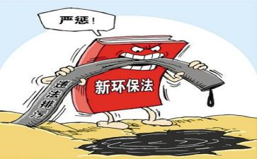 局专项整治工作总结5篇