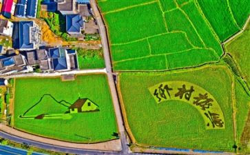 乡村振兴工作报告5篇