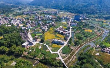 2024年乡村振兴干部培训心得体会7篇