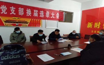 党支部换届工作总结总结6篇