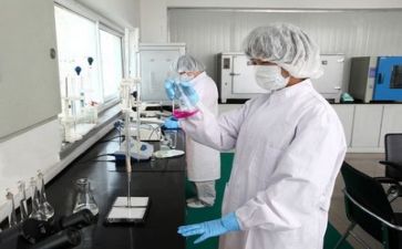 有质量的工作总结最新8篇