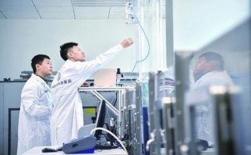 2024年质量月总结报告8篇