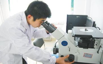 月质量工作总结7篇