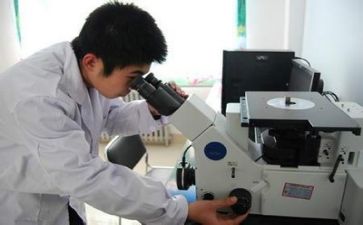 质量处工作总结推荐6篇