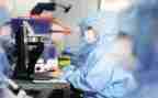 质量安全半年度工作总结7篇