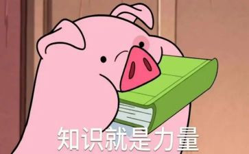 茶知识培训总结推荐7篇