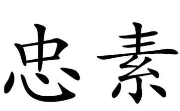 孝与忠的作文模板7篇